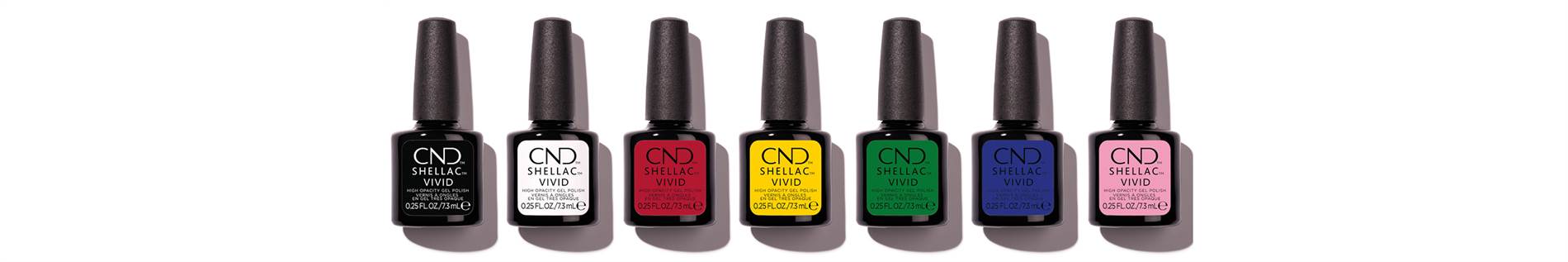 VIVID COLLECTION BANNER TOP